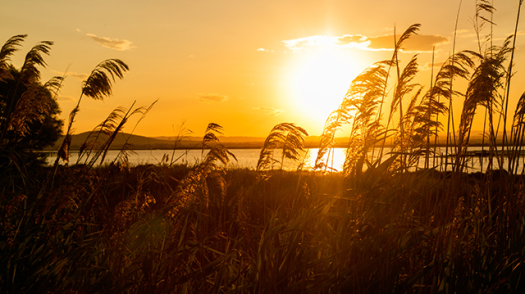 picture of Photography and Nature 