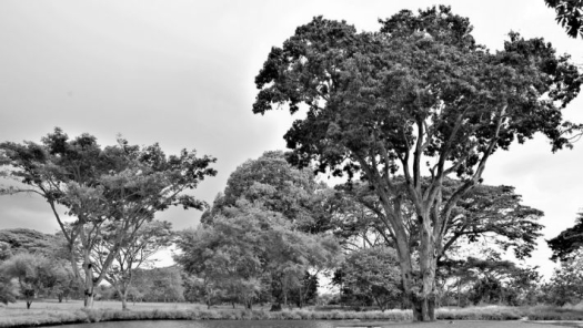 picture of Photography and Nature 