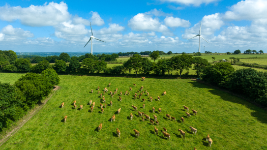 Image de Photographie et Drone 