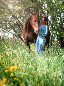 picture of Photography and Pets 