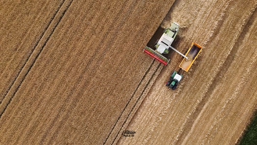 picture of Drone Photography and Aerial 