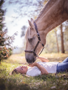 picture of Photography and Pets 