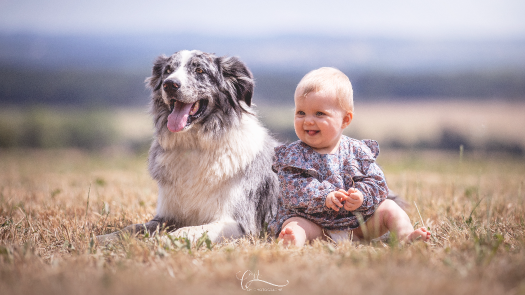 picture of Photography and Newborns 