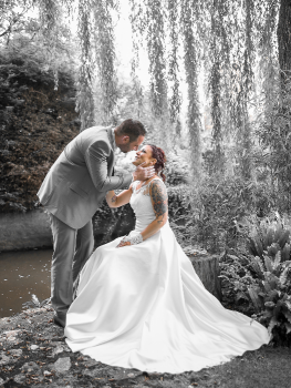 picture of Photography and Weddings 