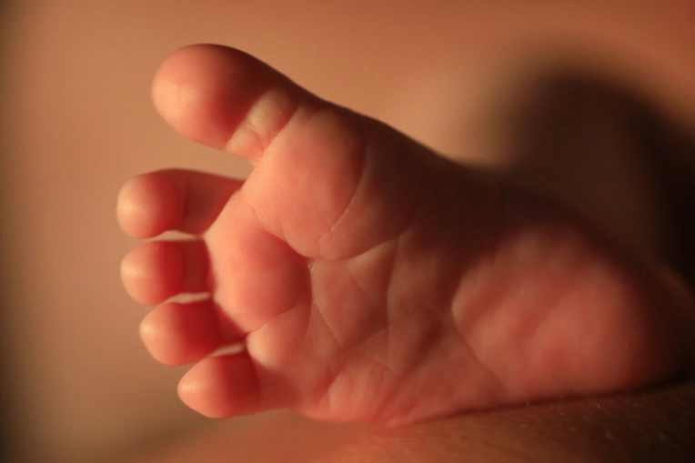 Photography, Newborns, Lifestyle