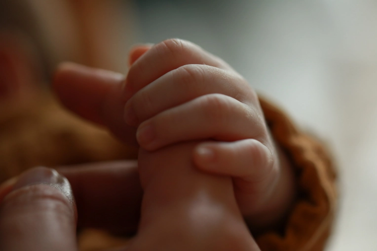 Photography, Newborns, Lifestyle