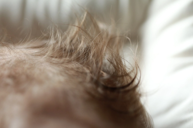 Photography, Newborns, Lifestyle