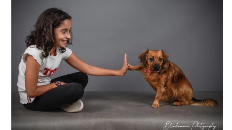 Photography, Pets, Lifestyle