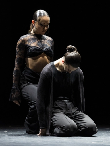 Photographie, Evènement, Concert/Spectacle, Conférence / Salon, Artistique, Traditionnel, Lifestyle