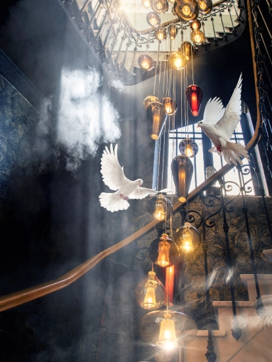 Photography, Interior Design, Artistic