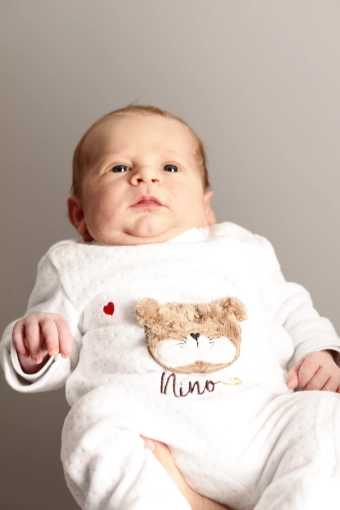 Photographie, Naissance, Traditionnel