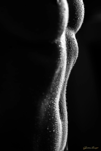 Photography, Couples / Engagement, Boudoir, Boudoir / Lingerie, Artistic