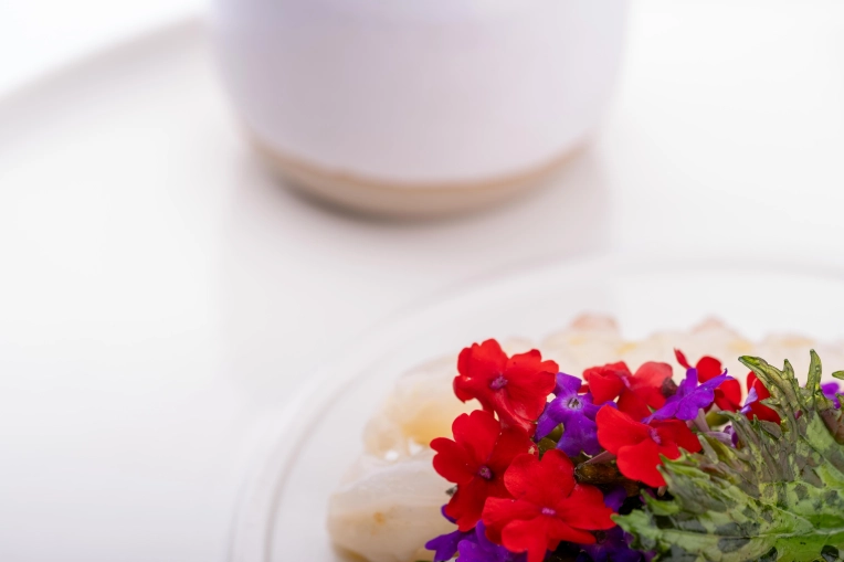 Photographie, Culinaire, Traditionnel