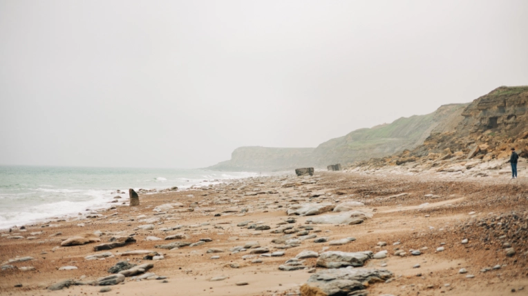 Photographie, Nature, Artistique, Traditionnel, Lifestyle