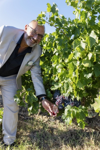 Photographie, Mariage, Artistique