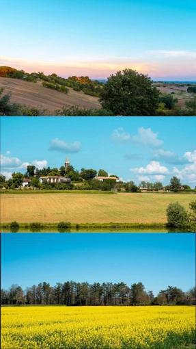 Photographie, Retouche photo, Vidéo et montage, Drone, Vue du ciel, Nature, Artistique, Traditionnel