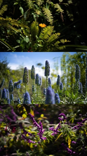 Photographie, Retouche photo, Vidéo et montage, Portrait, Nature, Artistique, Traditionnel