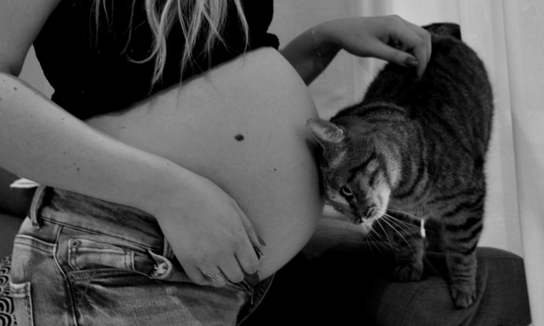 Photography, Maternity, Lifestyle