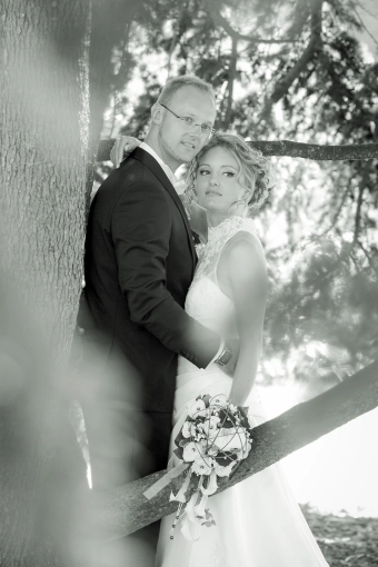 Photography, Weddings, Artistic