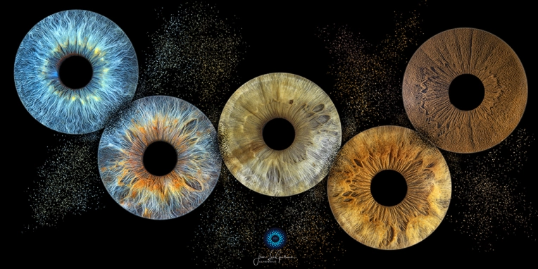 Photography, Iris, Artistic
