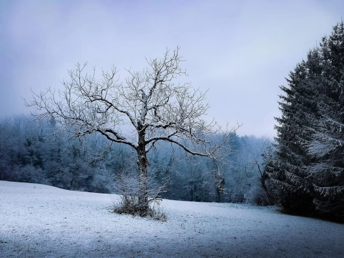 Photography, Photo retouching, Nature, Traditional
