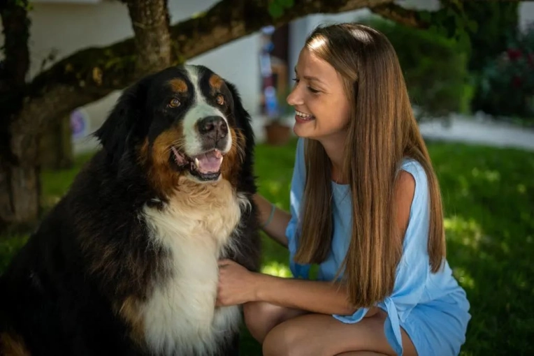 Photography, Photo retouching, Pets, Traditional