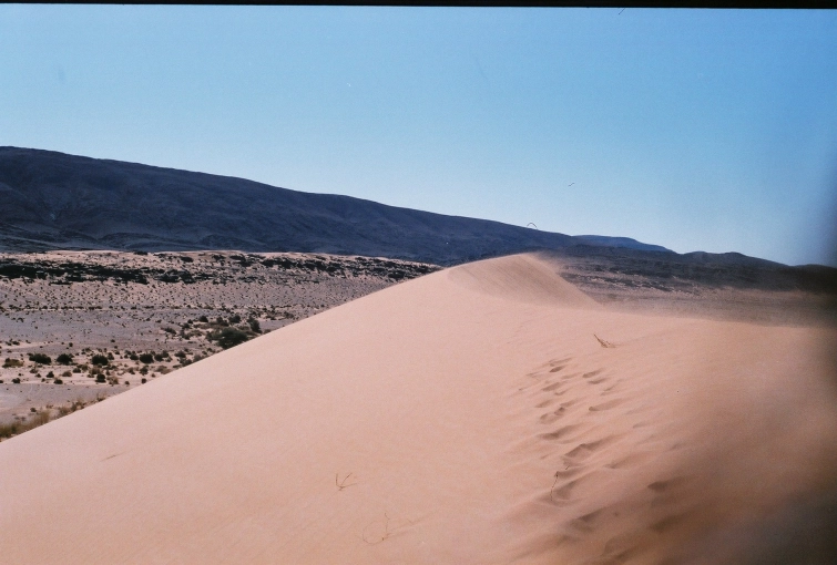 Photography, Nature, Lifestyle, Film