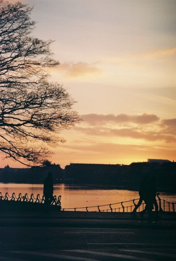 Photography, Nature, Lifestyle, Film