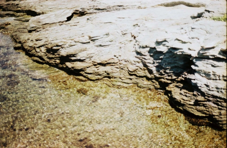 Photography, Nature, Artistic, Traditional, Film