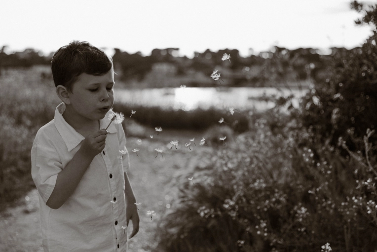 Photography, Families, Artistic