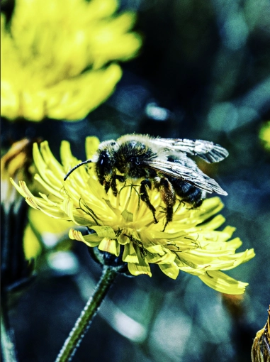 Photography, Nature, Lifestyle