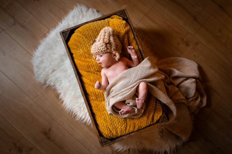 Photographie, Naissance, Artistique