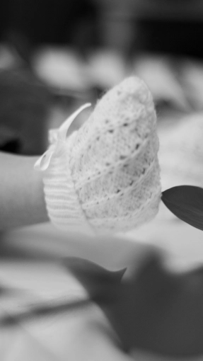 Photography, Photo retouching, Maternity, Newborns, Families, Artistic, Lifestyle