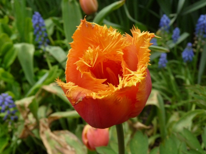 Photography, Nature, Traditional