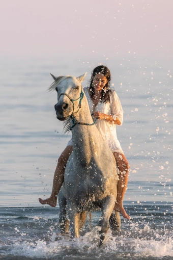 Photographie, Animal de compagnie, Artistique, Traditionnel, Lifestyle