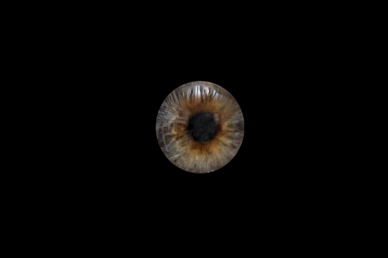 Photography, Iris