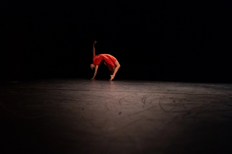 Photographie, Concert/Spectacle, Traditionnel