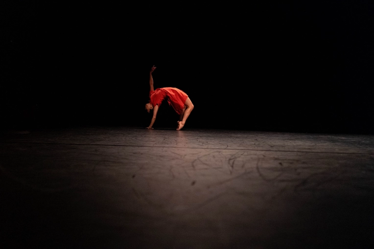 Photographie, Concert/Spectacle, Traditionnel