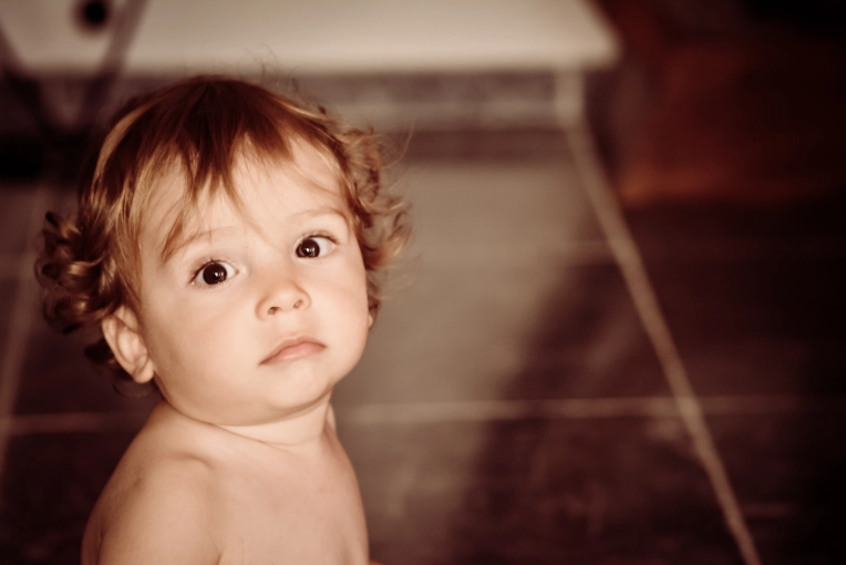 Photography, Families, Portraits, Traditional, Lifestyle