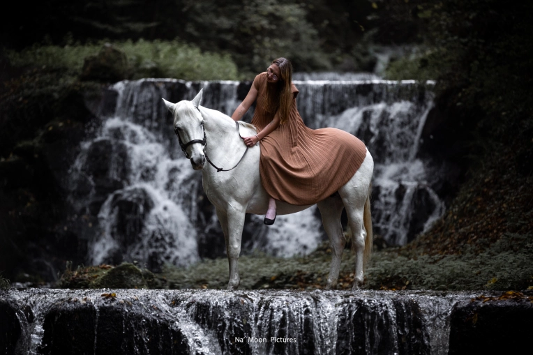 Photographie, Animal de compagnie, Artistique