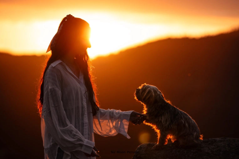 Photographie, Animal de compagnie, Artistique