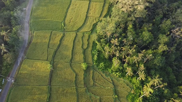 Drone Photography, Aerial, Nature, Traditional