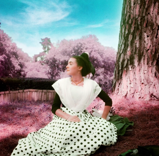 Photography, Photo retouching, Fashion / Model Portfolio, Boudoir, Artistic, Film