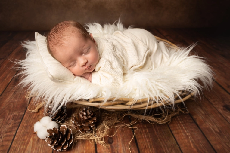 Photographie, Naissance, Artistique