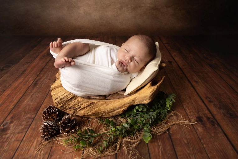 Photographie, Naissance, Artistique