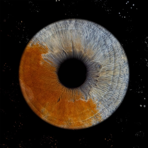 Photographie, Iris, Artistique