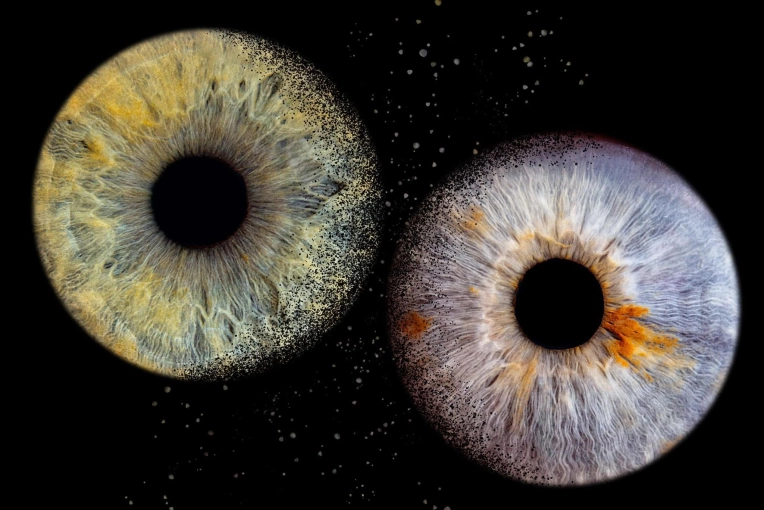 Photographie, Iris, Artistique