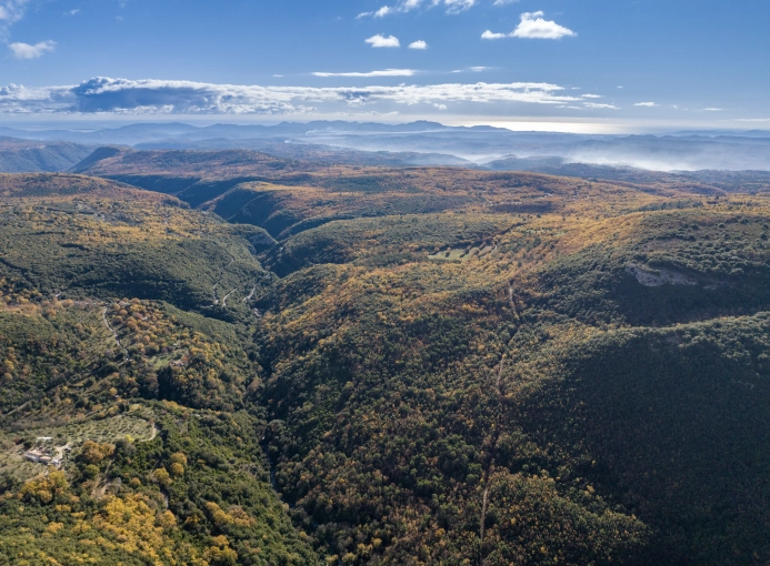 Photographie, Drone, Vue du ciel, Nature, Lifestyle