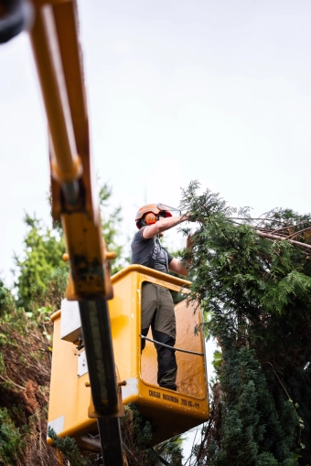 Photography, Construction Site Monitoring, Traditional