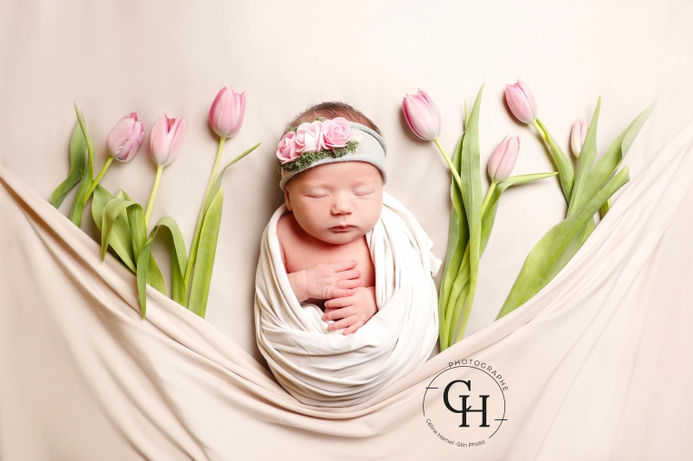 Photographie, Naissance, Traditionnel